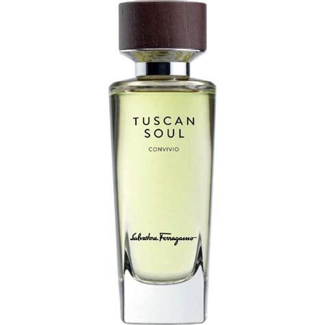 salvatore ferragamo tuscan soul convivio